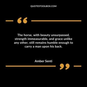 The horse, with beauty unsurpassed, strength immeasurable, and grace unlike any other, still remains humble enough to carry a man upon his back.