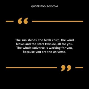 The sun shines, the birds chirp, the wind blows and the stars twinkle, all for you. The whole universe is working for you, because you are the universe.