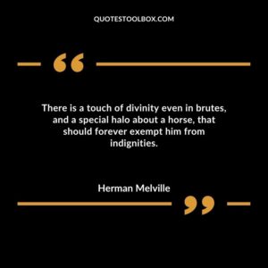 There is a touch of divinity even in brutes, and a special halo about a horse, that should forever exempt him from indignities.
