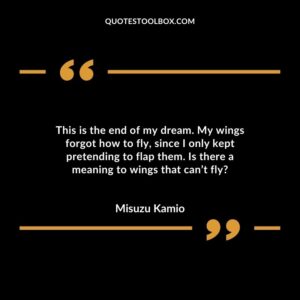 This is the end of my dream. My wings forgot how to fly, since I only kept pretending to flap them. Is there a meaning to wings that can’t fly