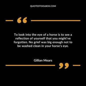To look into the eye of a horse is to see a reflection of yourself that you might’ve forgotten. No grief was big enough not to be washed clean in your horse’s eye.