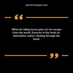 What do riding horses give us? An escape from the world. Exercise in the fresh air. Adrenaline rushes. Healing through the bond.