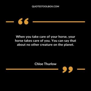 When you take care of your horse, your horse takes care of you. You can say that about no other creature on the planet.