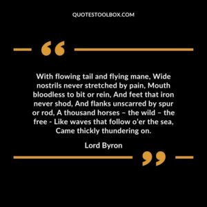 With flowing tail and flying mane, Wide nostrils never stretched by pain, Mouth bloodless to bit or rein, And feet that iron never shod,