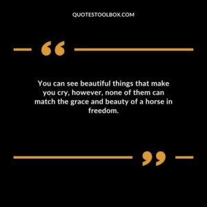 You can see beautiful things that make you cry, however, none of them can match the grace and beauty of a horse in freedom.