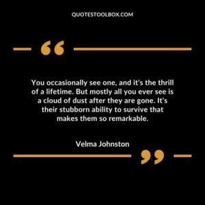 You occasionally see one, and it’s the thrill of a lifetime. But mostly all you ever see is a cloud of dust after they are gone.