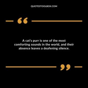 A cats purr is one of the most comforting sounds in the world and their absence leaves a deafening silence.