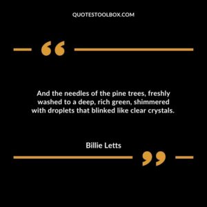 And the needles of the pine trees, freshly washed to a deep, rich green, shimmered with droplets that blinked like clear crystals.