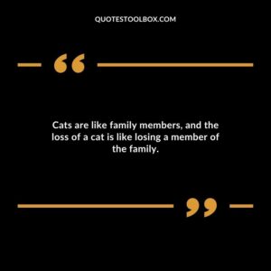 Cats are like family members and the loss of a cat is like losing a member of the family.
