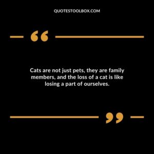 Cats are not just pets they are family members and the loss of a cat is like losing a part of ourselves.
