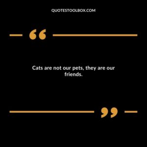 Cats are not our pets they are our friends.