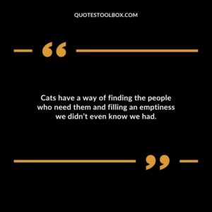 Cats have a way of finding the people who need them and filling an emptiness we didnt even know we had.