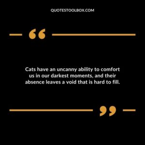 Cats have an uncanny ability to comfort us in our darkest moments and their absence leaves a void that is hard to fill.