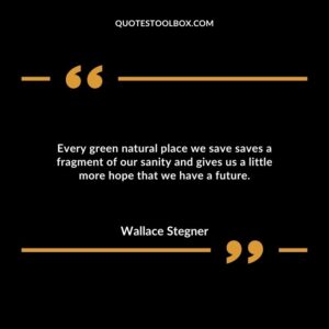Every green natural place we save saves a fragment of our sanity and gives us a little more hope that we have a future.
