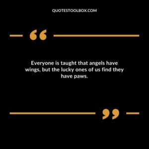 Everyone is taught that angels have wings but the lucky ones of us find they have paws.