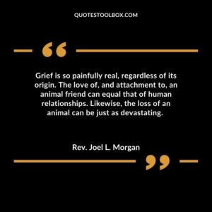 Grief is so painfully real, regardless of its origin. The love of, and attachment to, an animal friend can equal that of human relationships. Likewise, the loss of an animal can be just