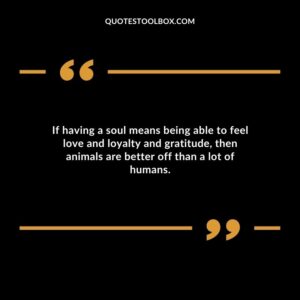 If having a soul means being able to feel love and loyalty and gratitude then animals are better off than a lot of humans.