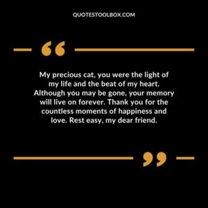 My precious cat, you were the light of my life and the beat of my heart. Although you may be gone, your memory will live on forever. Thank you for the countless moments of happiness and