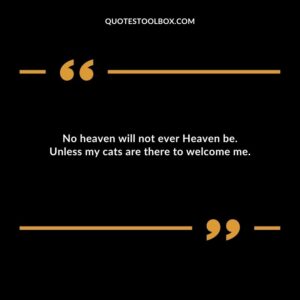 No heaven will not ever Heaven be. Unless my cats are there to welcome me.