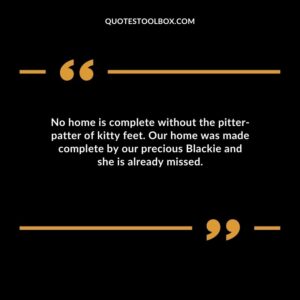 No home is complete without the pitter patter of kitty feet. Our home was made complete by our precious Blackie and she is already missed.