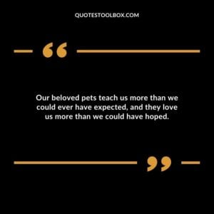 Our beloved pets teach us more than we could ever have expected and they love us more than we could have hoped.