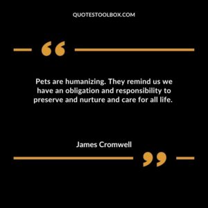 Pets are humanizing. They remind us we have an obligation and responsibility to preserve and nurture and care for all life.
