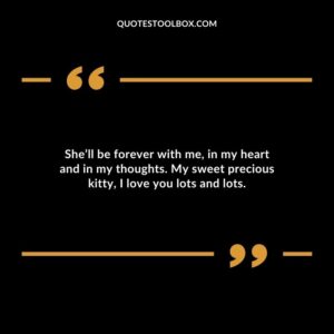 Shell be forever with me in my heart and in my thoughts. My sweet precious kitty I love you lots and lots.