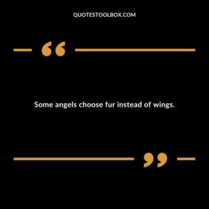 Some angels choose fur instead of wings.