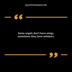 Some angels dont have wings sometimes they have whiskers.
