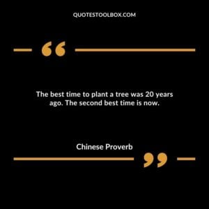 The best time to plant a tree was 20 years ago. The second best time is now.
