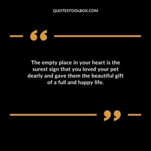The empty place in your heart is the surest sign that you loved your pet dearly and gave them the beautiful gift of a full and happy life.