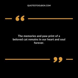 The memories and paw print of a beloved cat remains in our heart and soul forever.