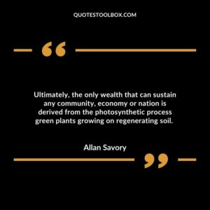 Ultimately, the only wealth that can sustain any community, economy or nation is derived from the photosynthetic process green plants growing on regenerating soil.
