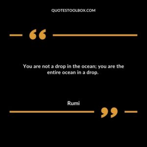 You are not a drop in the ocean; you are the entire ocean in a drop.