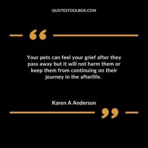 Your pets can feel your grief after they pass away but it will not harm them or keep them from continuing on their journey in the afterlife.