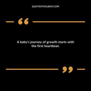 A babys journey of growth starts with the first heartbeat.