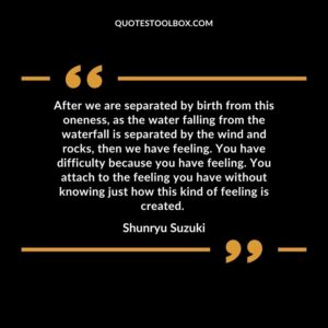 After we are separated by birth from this oneness, as the water falling from the waterfall is separated by the wind and rocks, then we have feeling. You have difficulty