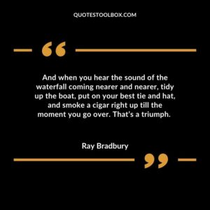 And when you hear the sound of the waterfall coming nearer and nearer, tidy up the boat, put on your best tie and hat, and smoke a cigar right up till the moment you go over