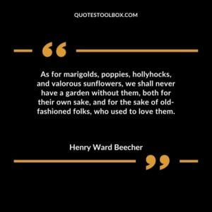 As for marigolds, poppies, hollyhocks, and valorous sunflowers, we shall never have a garden without them, both for their own sake, and for the sake of old fashioned folks, who