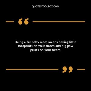 Being a fur baby mom means having little footprints on your floors and big paw prints on your heart.