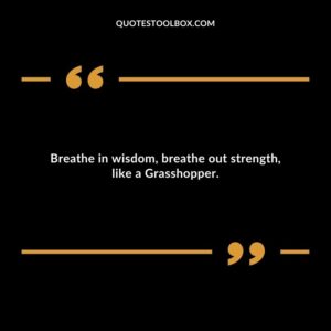 Breathe in wisdom, breathe out strength, like a Grasshopper.