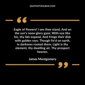 Eagle of flowers! I see thee stand, And on the sun’s noon glory gaze; With eye like his, thy lids expand, And fringe their disk with golden rays Though fix'd on earth