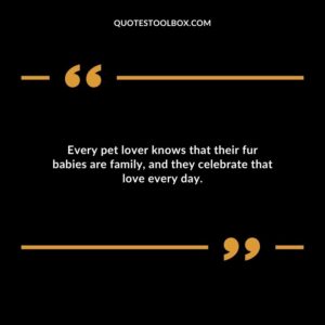 Every pet lover knows that their fur babies are family and they celebrate that love every day.