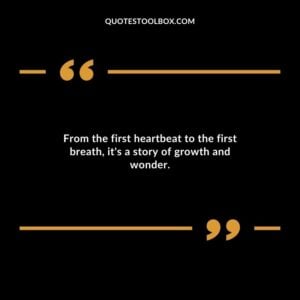 From the first heartbeat to the first breath its a story of growth and wonder.