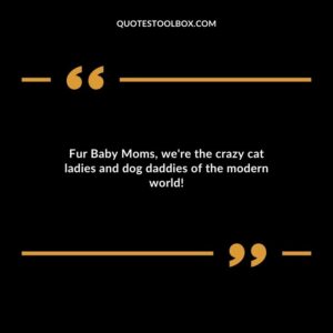 Fur Baby Moms were the crazy cat ladies and dog daddies of the modern world