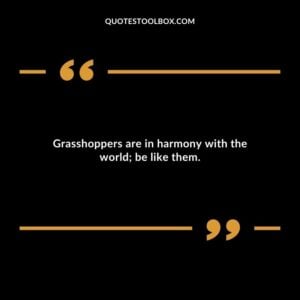 Grasshoppers are in harmony with the world; be like them.