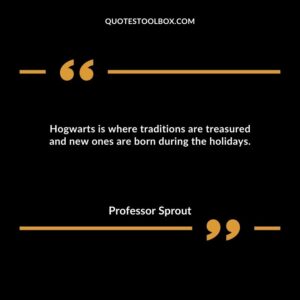Hogwarts is where traditions are treasured and new ones are born during the holidays.