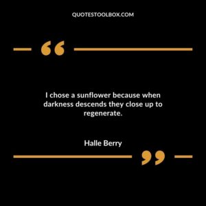 I chose a sunflower because when darkness descends they close up to regenerate.