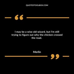 I may be a wise old wizard, but I'm still trying to figure out why the chicken crossed the road.