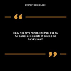 I may not have human children but my fur babies are experts at driving me barking mad